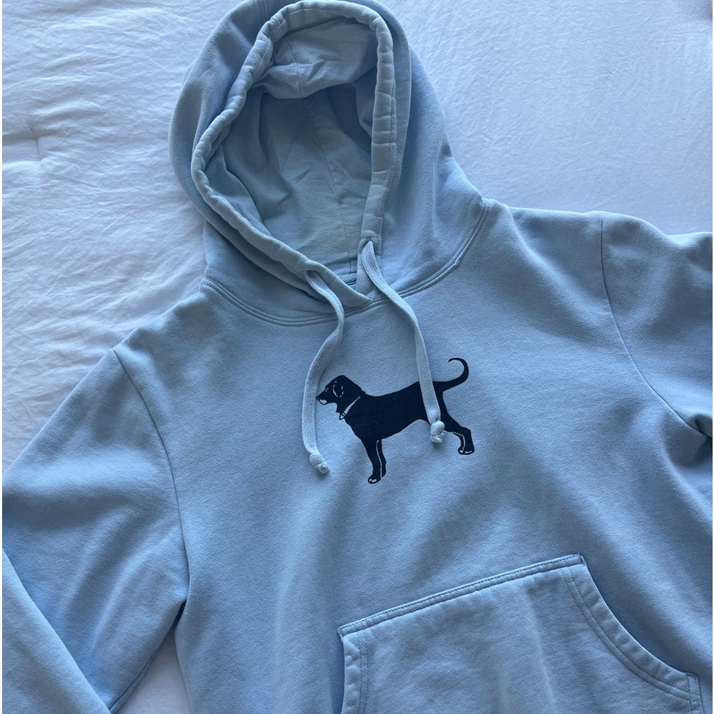 The Black Dog Hoodie Sweatshirt in Light Blue